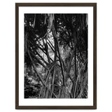Black Tectorius Plant Art thumbnail