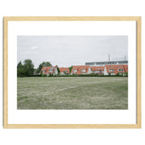 Red roof houses in the green field thumbnail