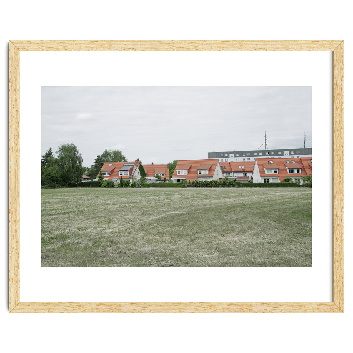 Red roof houses in the green field