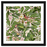 Tropical Bird Garden thumbnail