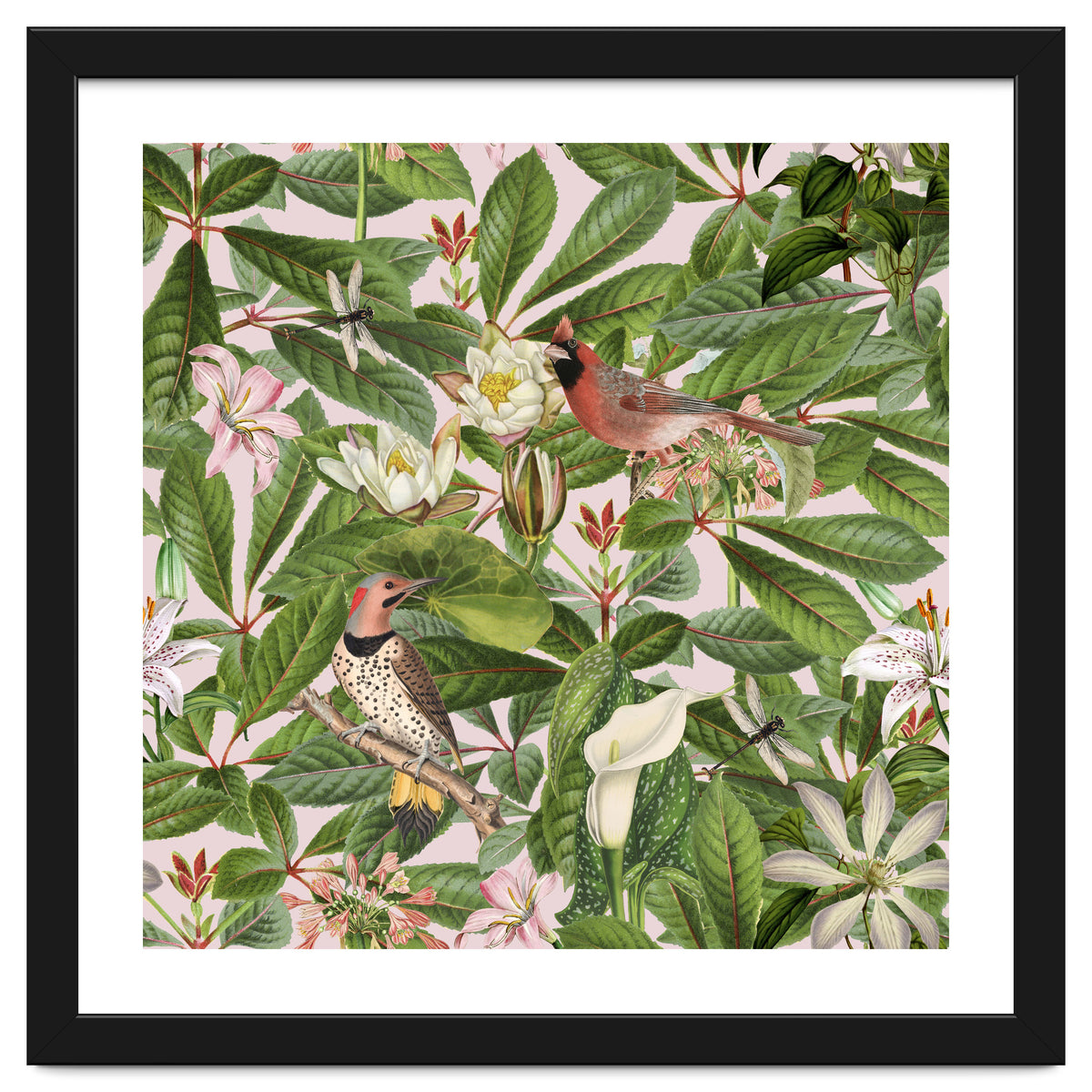 Tropical Bird Garden