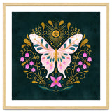 Butterfly And Sun thumbnail