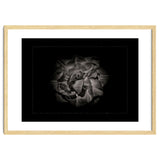 Backyard Flowers In Black And White No 81 with Border thumbnail