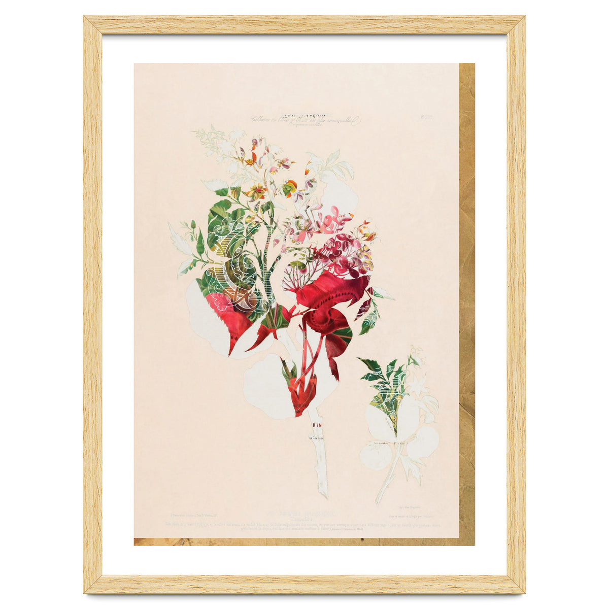 The First Plant · Aufbluehen