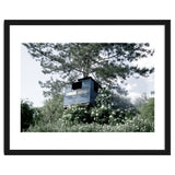 Blue hut on the tree thumbnail