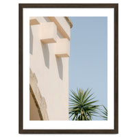 Mediterranean House With Palm