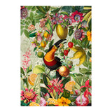 Toucan vintage jungle 1 (Print Only) thumbnail