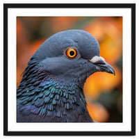 Close Up Of A Pigeon's Head And Neck