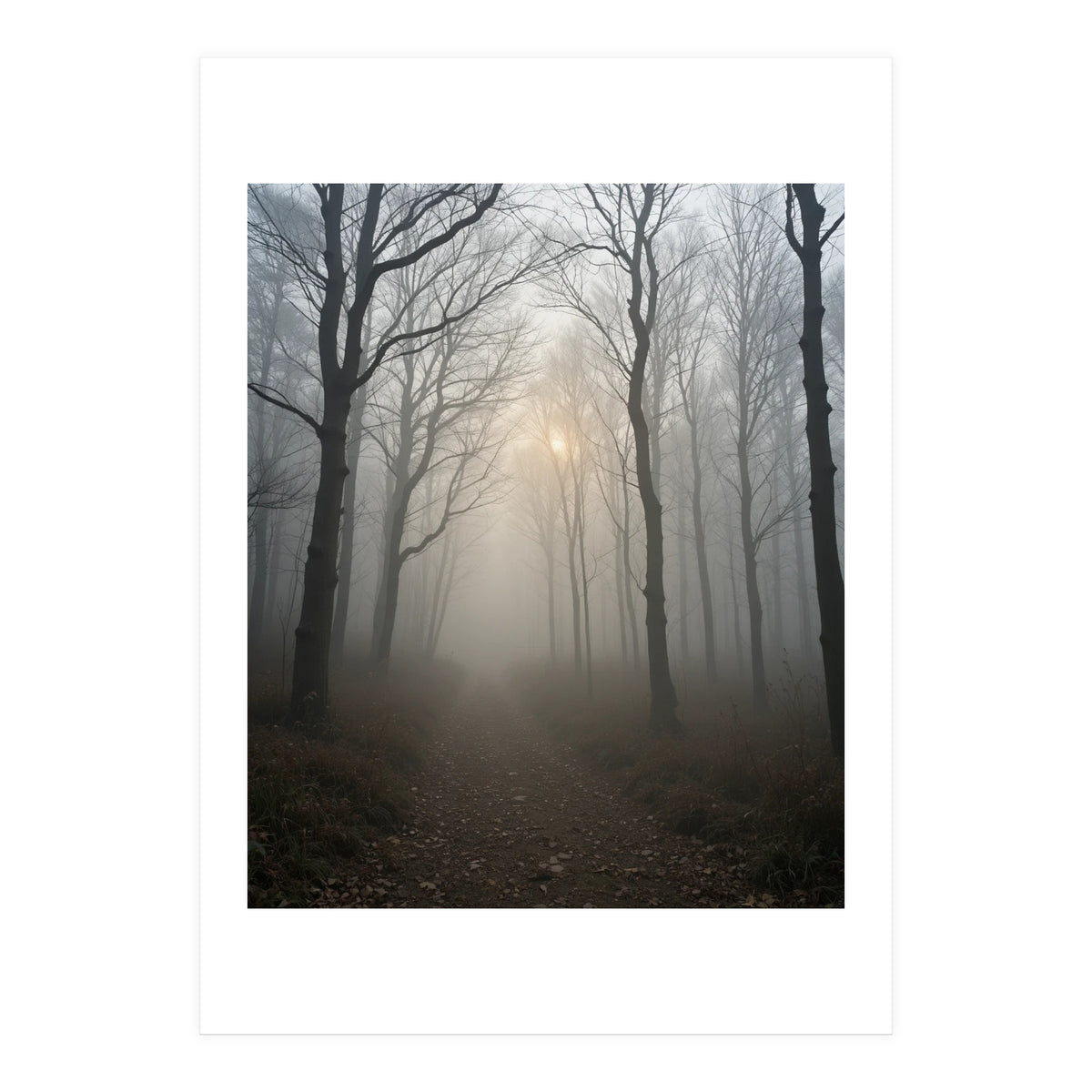 Ethereal Morning Light Breaking Through Dense Forest Fog (Print Only)