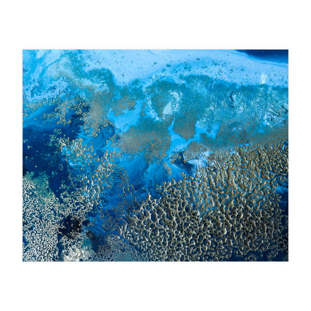 Revitalize (Print Only)