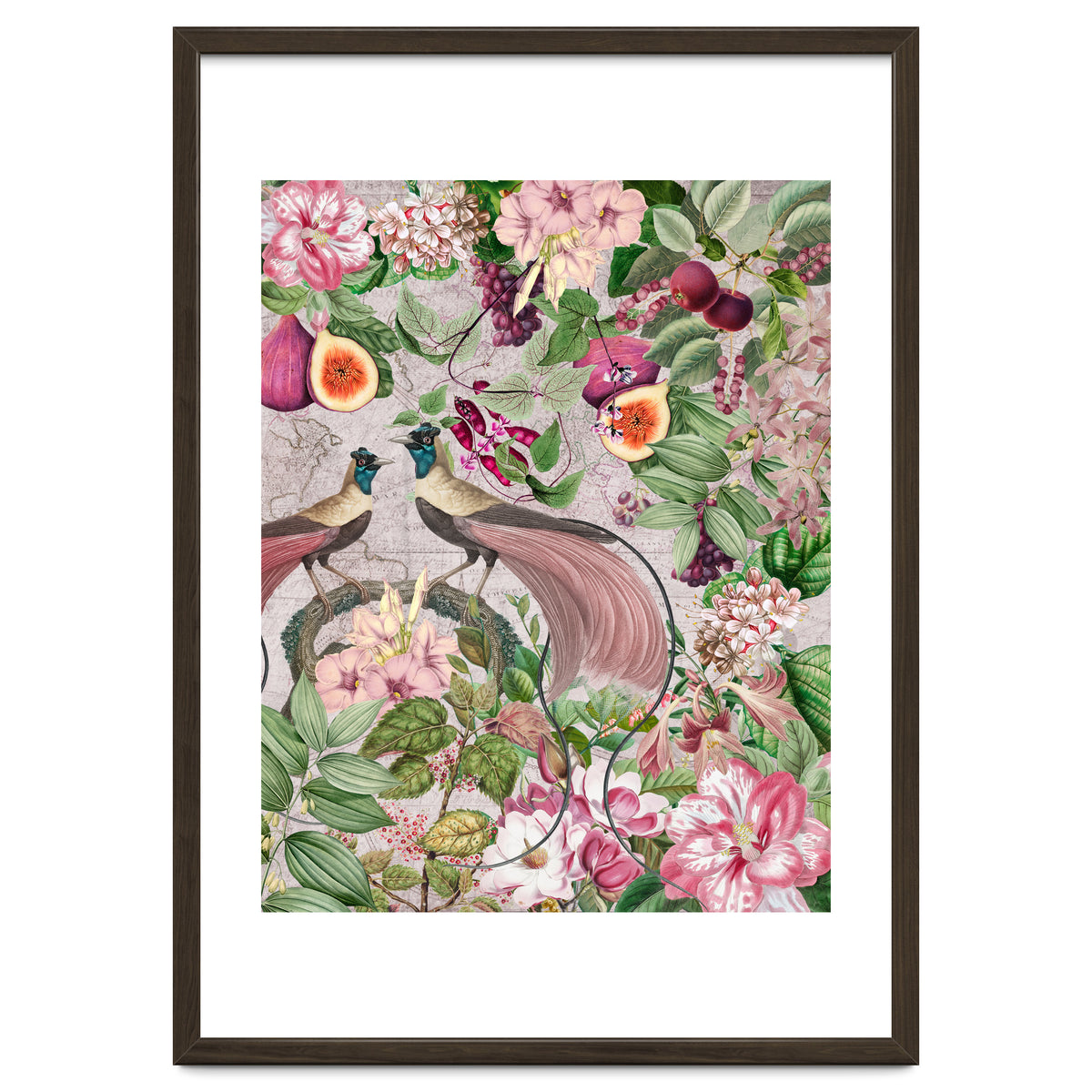 Vintage Birds Of Paradise Jungle