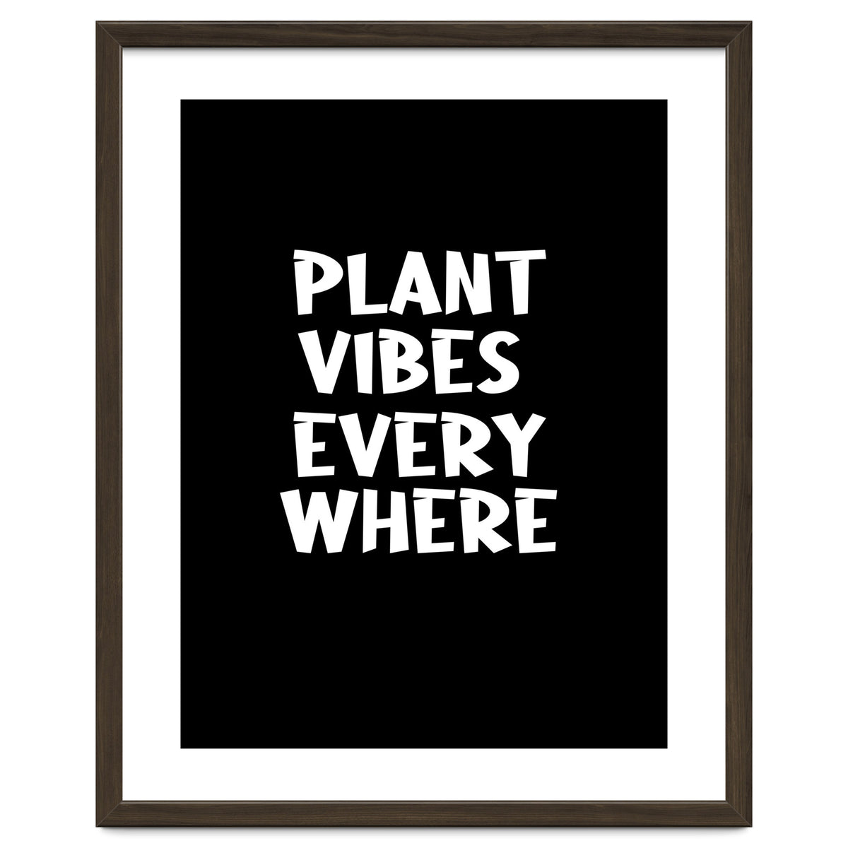 Plant vibes everywhere