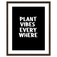 Plant vibes everywhere