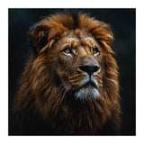 Majestic Lion Portrait In Gentle Rain (Print Only) thumbnail