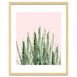 Botanical Balance thumbnail