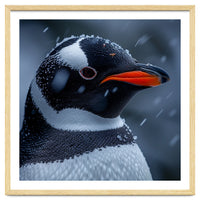 Close Up Penguin Portrait In Snowy Weather