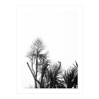 Miminalist Palm (Print Only)