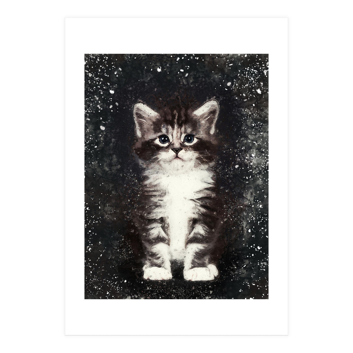 Bicolor Cute Kitten Portrait (Print Only)