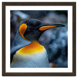 Close Up Of King Penguin In The Rain thumbnail