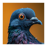 Close Up Of A Pigeon's Head And Neck (Print Only) thumbnail