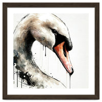 Watercolor Swan Portrait