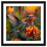 Hummingbird Hovering Near Orange Flowers thumbnail