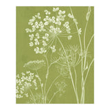 Wildflowers III (Print Only) thumbnail