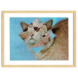 The Depressive Cat Am Abend Bekommt Den Blues thumbnail