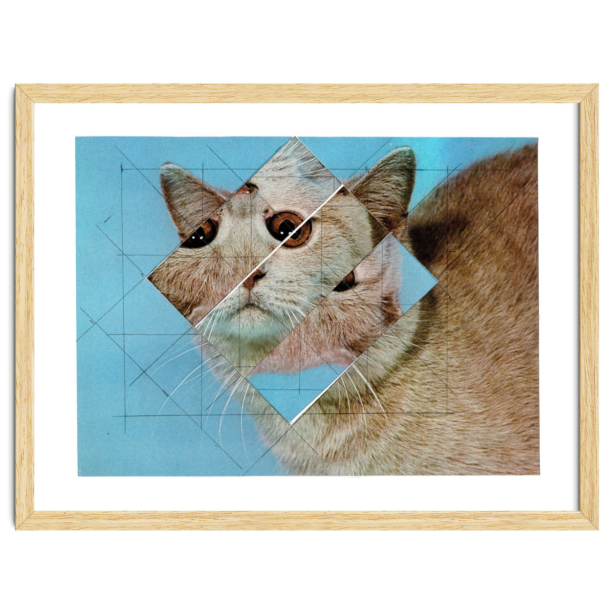 The Depressive Cat Am Abend Bekommt Den Blues