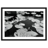Lotus Pond | Black & White Landscape thumbnail