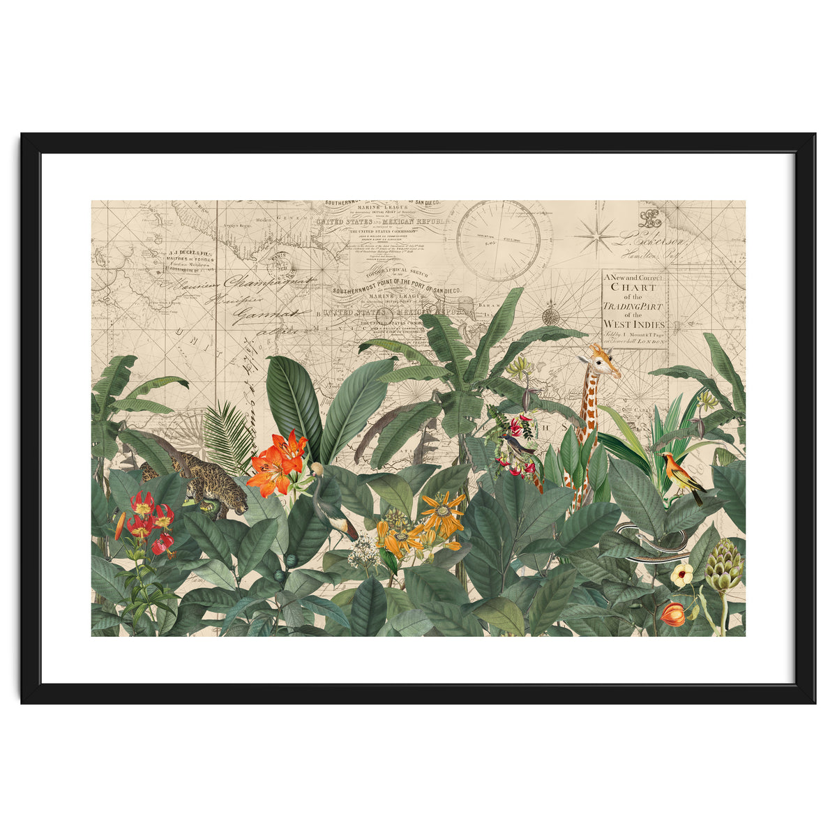 Explore The New World Wild Animals