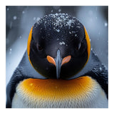 Close Up King Penguin In The Snow (Print Only) thumbnail