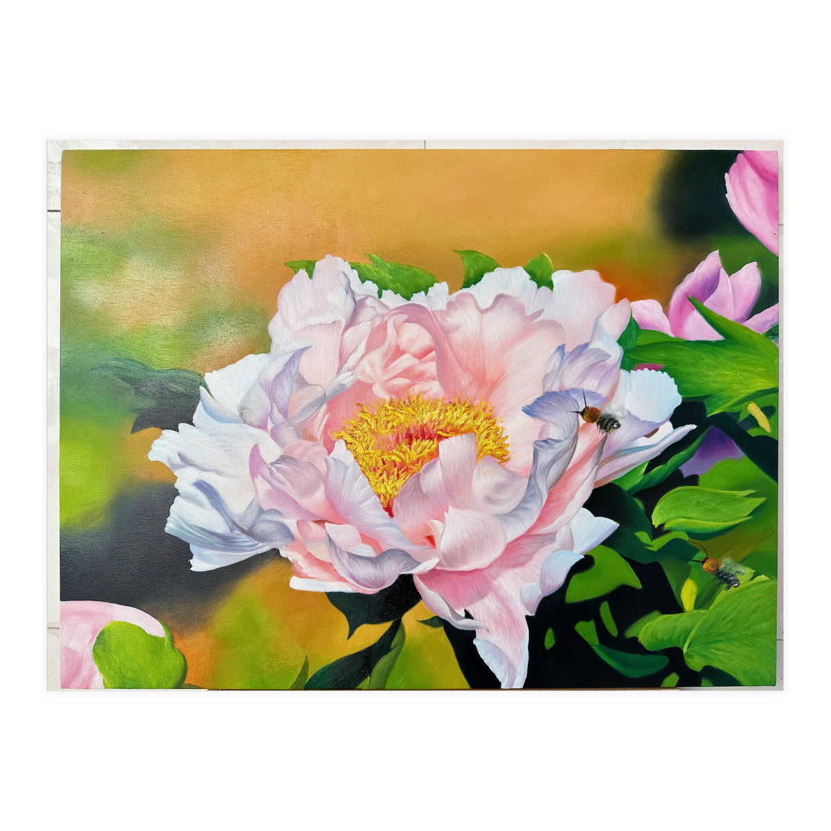 peony (Print Only)