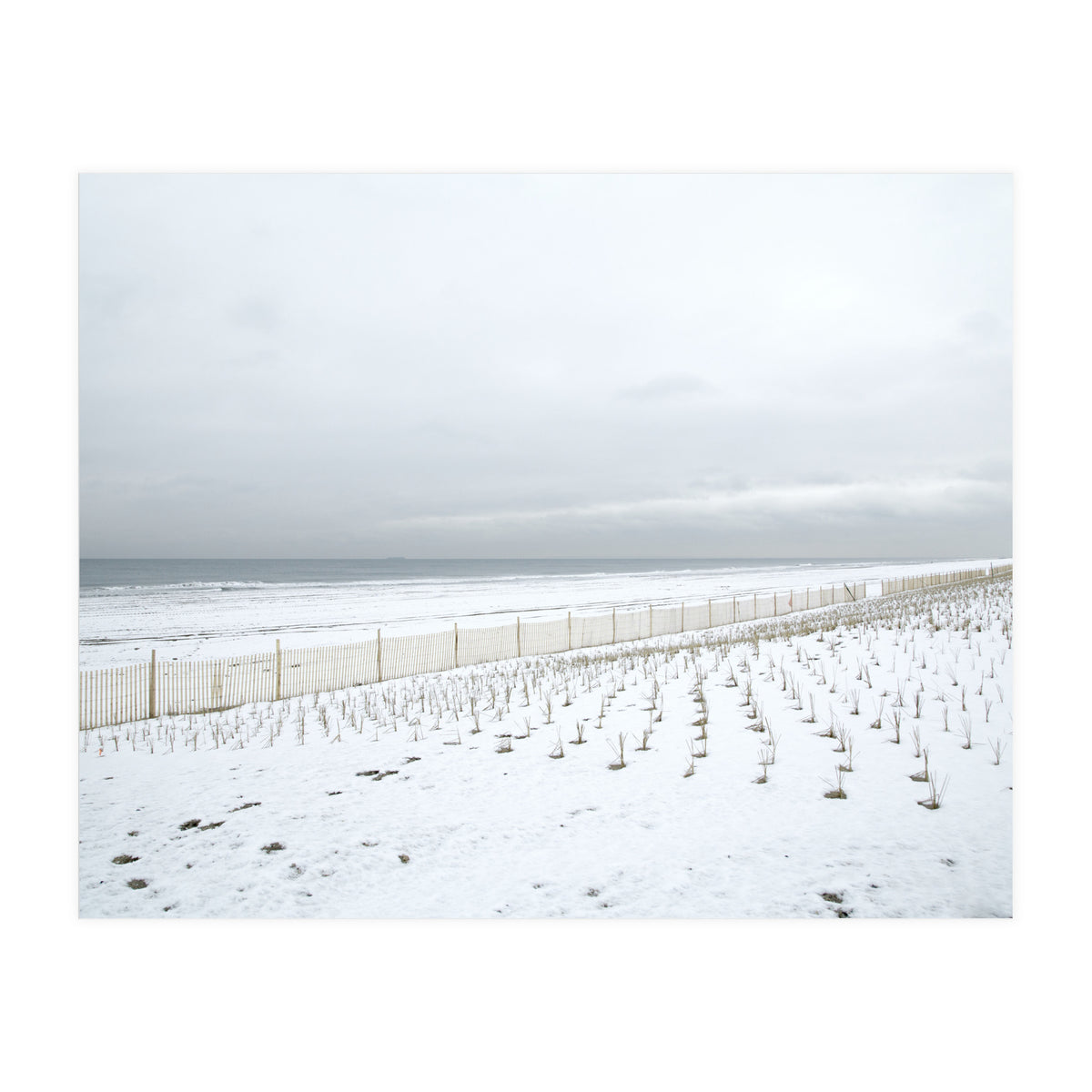 Winter grass in snow beach (Print Only)