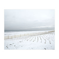 Winter grass in snow beach (Print Only)