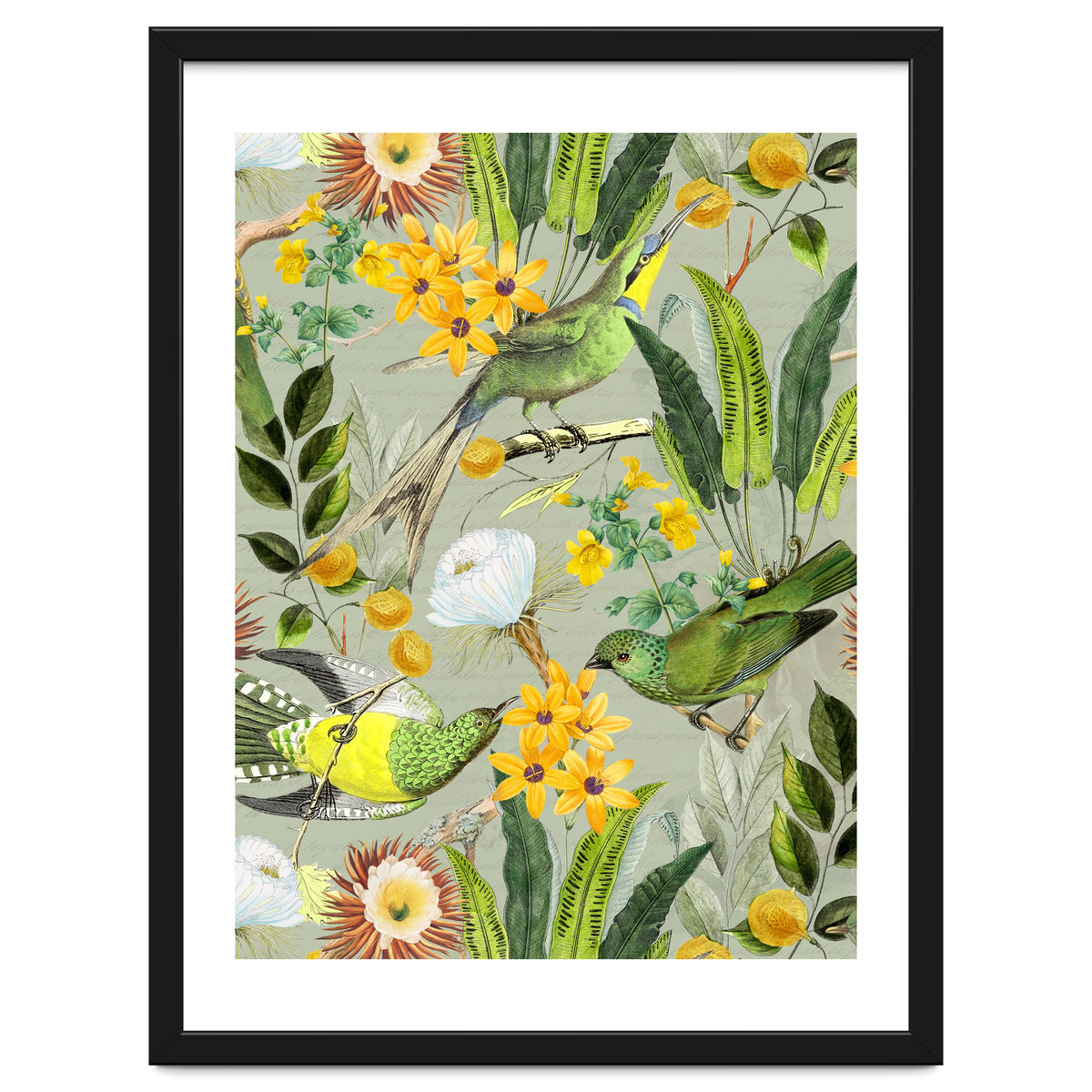 Tropical Birds in Exotic Jungle