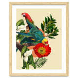 Birds Life thumbnail