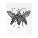Riesen Longhorn Käfer (Print Only) thumbnail