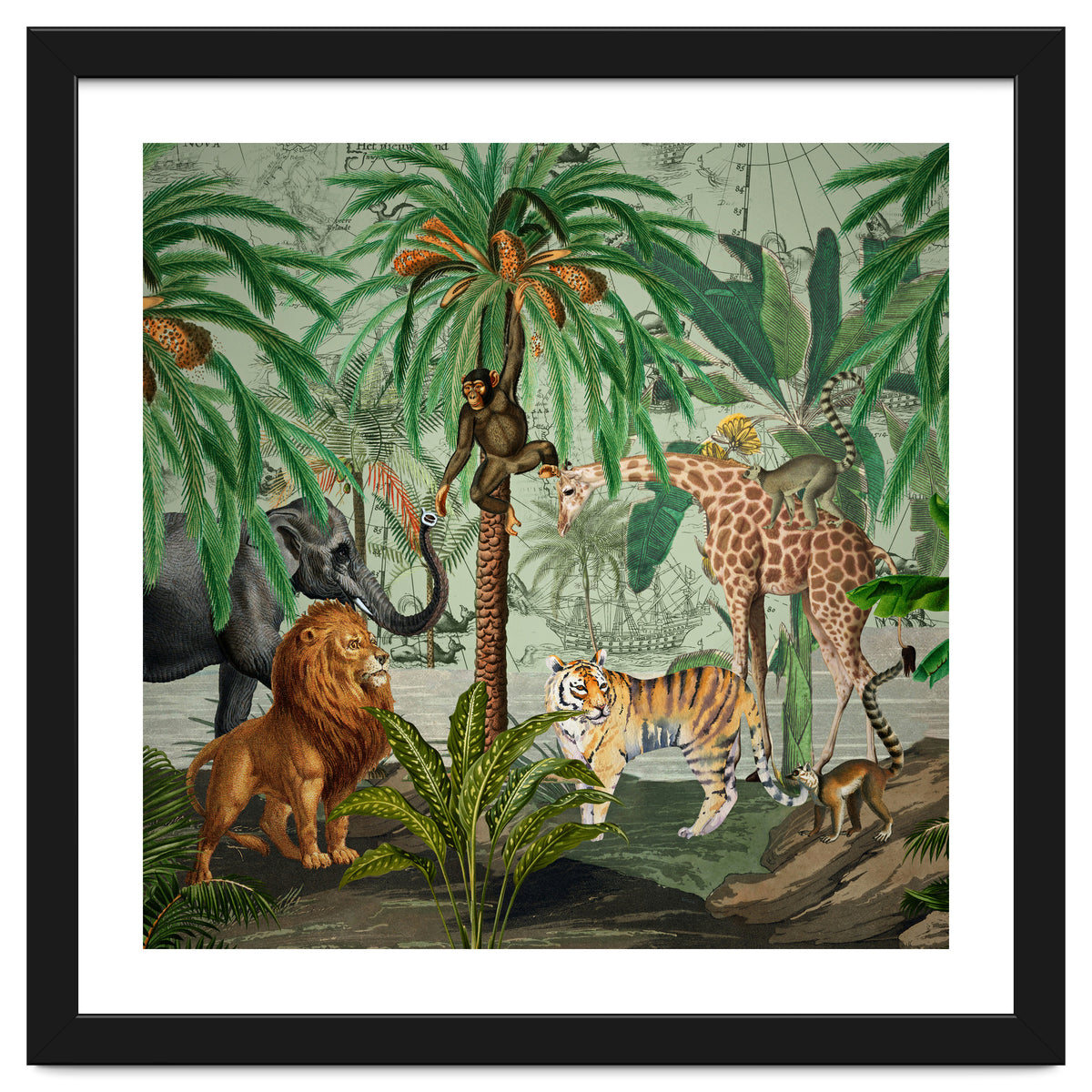 Vintage African Adventure