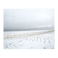 Winter grass in snow beach (Print Only)