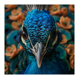 Close Up Portrait Of A Peacock Head (Print Only) thumbnail