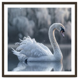 Majestic White Swan Gracefully Floating On Water thumbnail