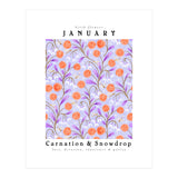 Carnation & Snowdrop January Birth Flower (Print Only) thumbnail