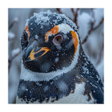 Penguin In Snow Falling Close Up Portrait (Print Only) thumbnail