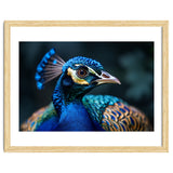 Peacock Head Close Up Majestic Blue Bird thumbnail