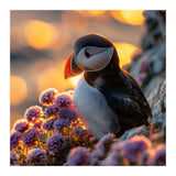 Puffin Bird Amidst Purple Flowers Golden Hour (Print Only) thumbnail