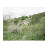 Green grass wall (Print Only) thumbnail