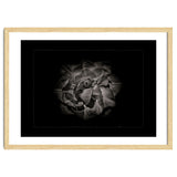 Backyard Flowers In Black And White No 81 with Border thumbnail