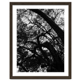 Tree Black Silhouette thumbnail