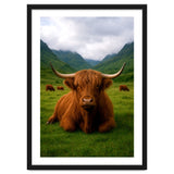 Highland Cow in Scotland thumbnail